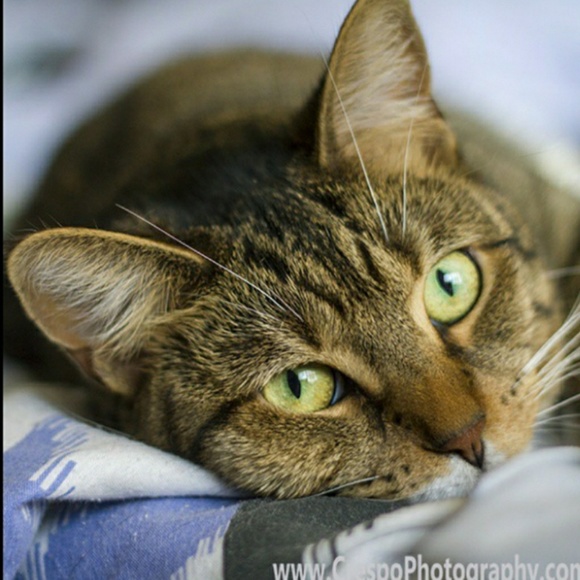 Meet your Posher, Guillermo - Picture 2 of 7